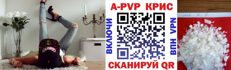 A-PVP СК КРИС  Петропавловск-Камчатский 