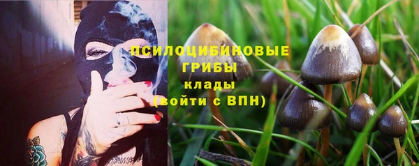 герыч Верхний Тагил