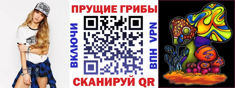 mega ссылки Петропавловск-Камчатский Галлюциногенные грибы ЛСД